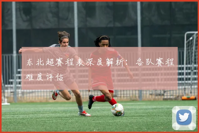 东北超赛程表深度解析:各队赛程难度评估