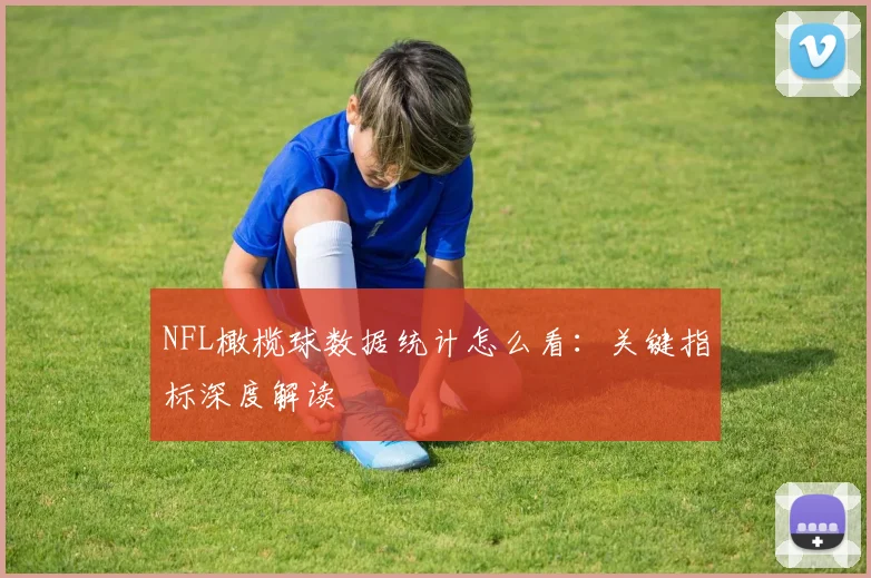 NFL橄榄球数据统计怎么看：关键指标深度解读