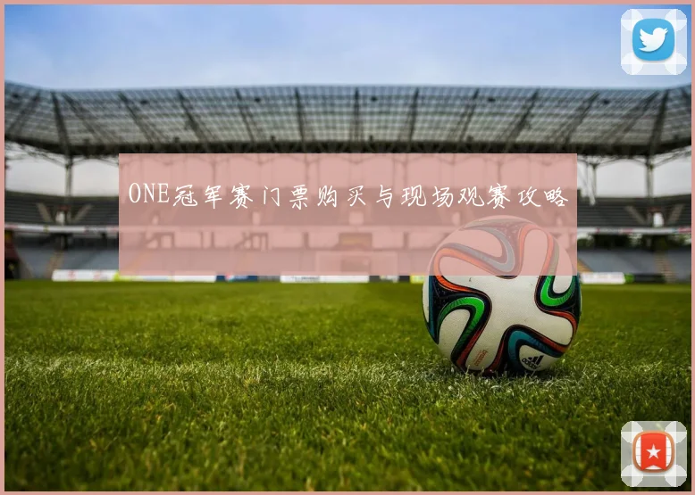 ONE冠军赛门票购买与现场观赛攻略
