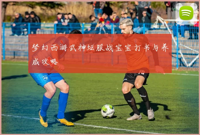 梦幻西游武神坛服战宝宝打书与养成攻略