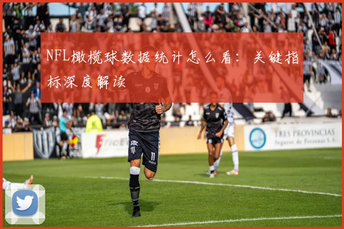 NFL橄榄球数据统计怎么看:关键指标深度解读