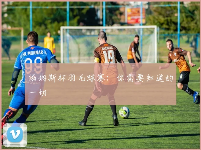 汤姆斯杯羽毛球赛：你需要知道的一切