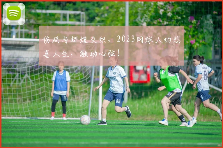 伤病与辉煌交织,2023网球人的悲喜人生,触动心弦!