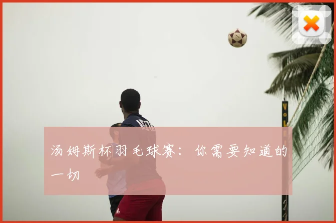 汤姆斯杯羽毛球赛:你需要知道的一切