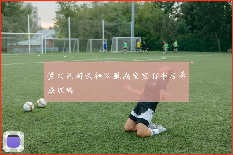 梦幻西游武神坛服战宝宝打书与养成攻略