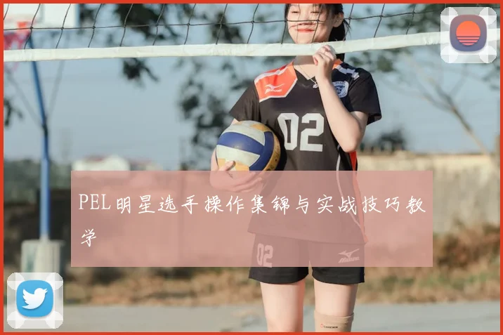 PEL明星选手操作集锦与实战技巧教学