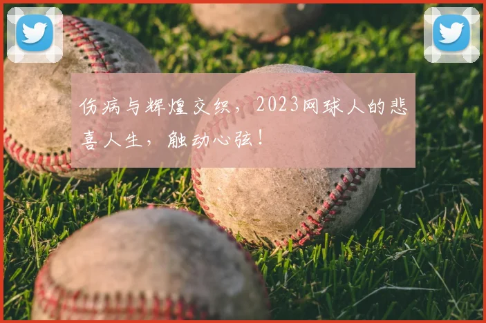 伤病与辉煌交织,2023网球人的悲喜人生,触动心弦!