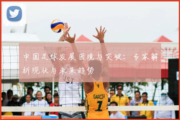 中国足球发展困境与突破:专家解析现状与未来趋势