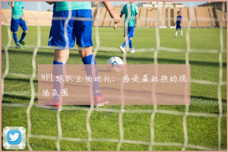 NFL球队主场巡礼：感受最狂热的现场氛围