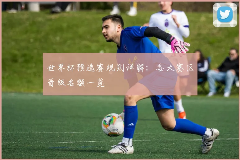 世界杯预选赛规则详解：各大赛区晋级名额一览